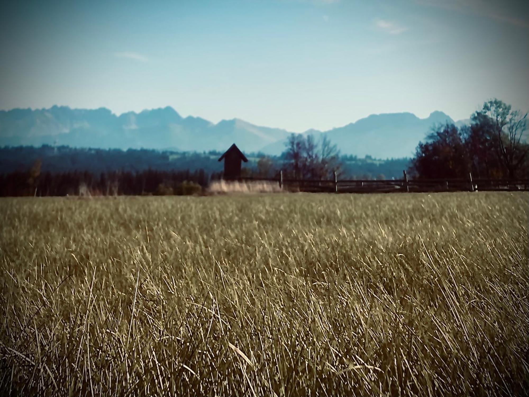 Malowany Domek W Gorach Ciche  Exteriér fotografie